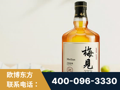 潮州-梅见青梅酒